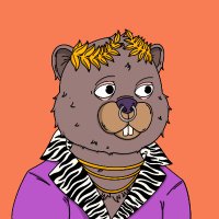 stup3fy.s🥝l 🦫 (@sol_stup3fy) 's Twitter Profile