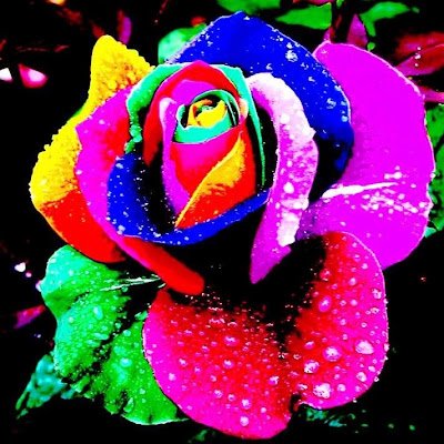 SurupamJain's profile picture. 