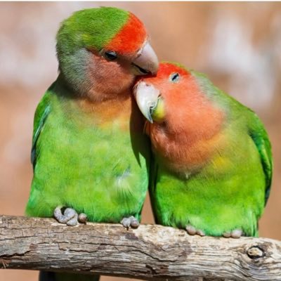 AndyBelk4's profile picture. Politics use the same script as professional wrestling. Create good and bad guys then reap the $$ rewards.