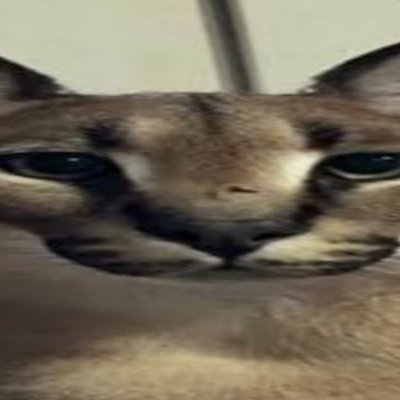 SKY_CLAM's profile picture. 