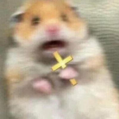 roseintheblue's profile picture. Trans. Non binary. they/them. Thelemite. just 3 trash pandas in a trench coat disguised as a wandering ginger mess. 18+.