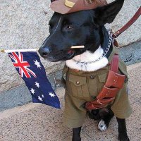 Proud Australian🇦🇺🇦🇺🇦🇺(@deniseravizza2) 's Twitter Profile Photo