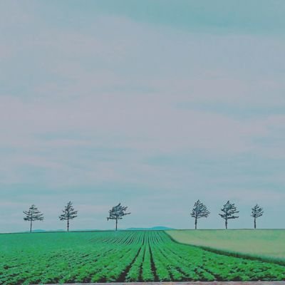 colorfultabeer's profile picture. 北国の 🚃♨️🍺お土産🐦👜#たびーる🐦