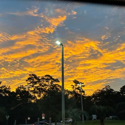 76Cars's profile picture. 