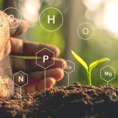 International Research Journal of Agricultural Science and Soil Science (IRJAS) (ISSN:2251-0044) is a peer-reviewed, open access journal.