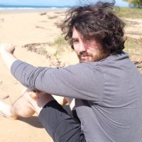 Wombat (@wombat_hs) 's Twitter Profile