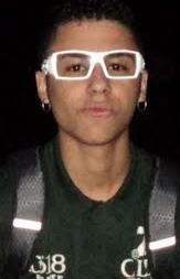 eu vim da selva, sou leão, sou demais pro seu quintal. :p