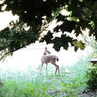 reneeted1's profile picture. 🧚‍♀️🧚‍♀️
