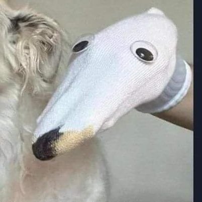 1800freetherapy's profile picture. Digital diary for brain dump