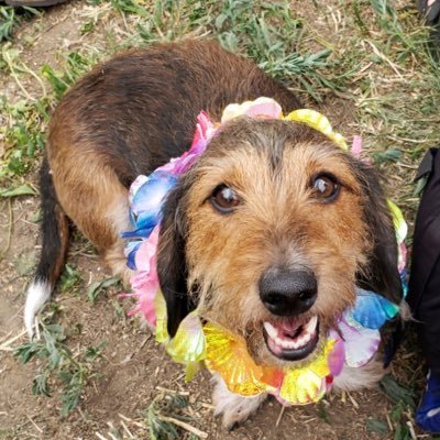 Z_Meyer's profile picture. Yupp. Old Bay. NY➡️UNC➡️CO➡️MD