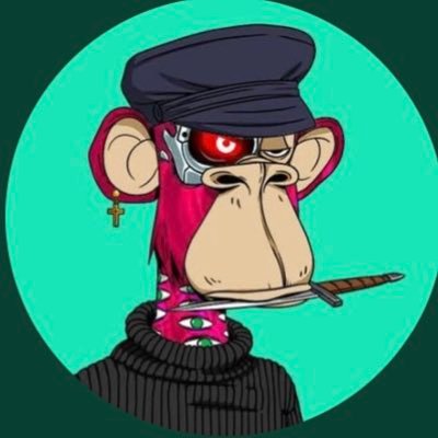 nftstealingk's profile picture. Free screenshots of nets on the dms