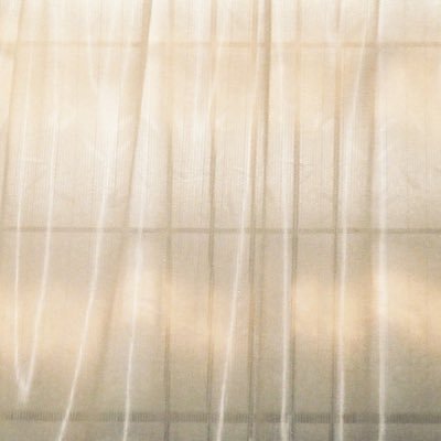 __soaproot's profile picture. ｼｬｼﾝ @umato_momo