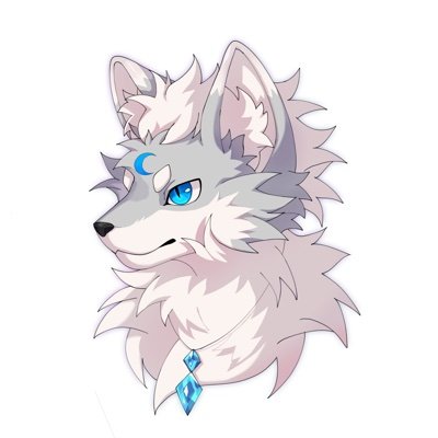 AKA Nord / 22 / 🔜Doctoral Student / Photography, Aviation and Skiing / Furry(feral?)🐺 / 🏳️🌈 / DM Friendly