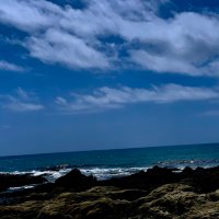 チン太郎 (@as_u9w) 's Twitter Profile
