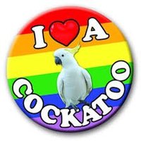 Craig Cockatoo (@craigcockatoo) 's Twitter Profile