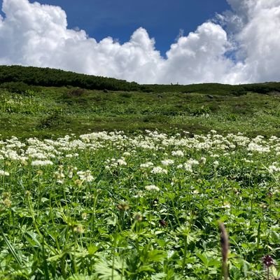 遊びと食と楽しいこと