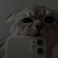 mars106 (@v_i_r_t_o) 's Twitter Profile