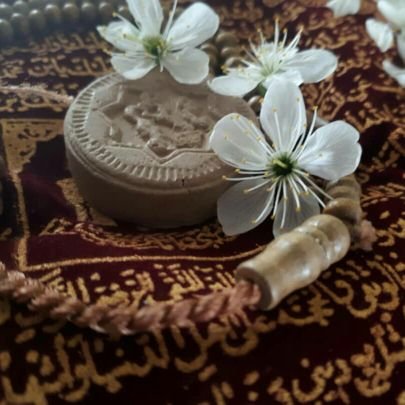 2Sharifeh's profile picture. 