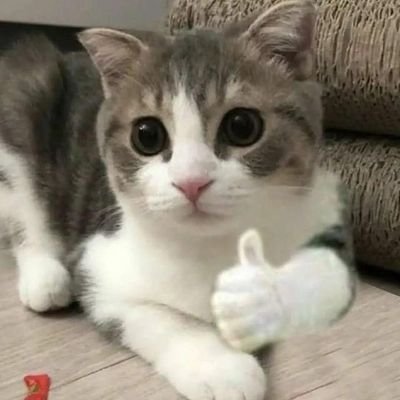 Fantom_boy__'s profile picture. 