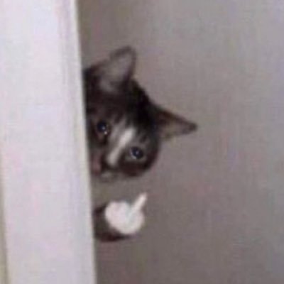 _BlavaBla's profile picture. رِند⚠️
شما من را نمی‌شناسید، اگر تمایلی ندارید دنبالتان کنم بنده را بلاک کنید, در غیر اینصورت dm me 
من مشغول رقصیدن و تماشای خودم در آینه اتاقم هستم 
ماچ🫶🏻