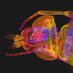Centre for Biophotonics (@cfb_strath) Twitter profile photo Centre for Biophotonics (@cfb_strath) Twitter profile photo