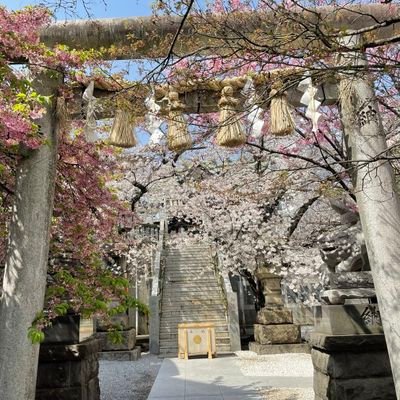 大山祇神社のご分霊を祀り、その源を弘安四年の役に発する。勇将河野通有、大山祇神社に必勝の祈を捧げ神恩加護を仰ぎ、武功赫々として帰国したところ、夢の中に神のお告げを得て、上野山中にあった河野氏の館に分霊を鎮座したことに始まる。