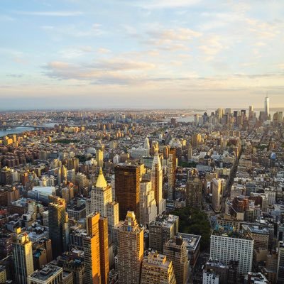 properpuppet's profile picture. 