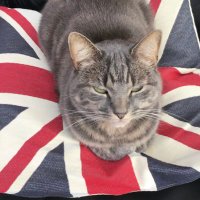Leigh (@gartsideleigh) 's Twitter Profile