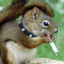 Michael Werlinger - @mrw48154 - Twitter