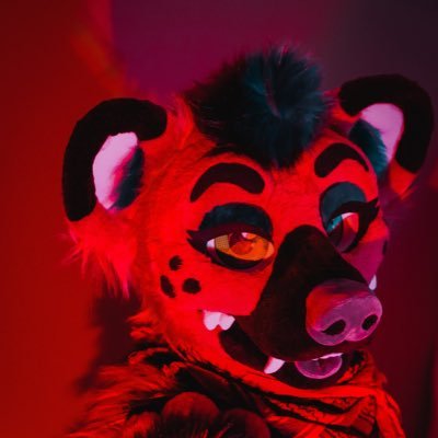 Tawr Wolfensonさんのプロフィール画像