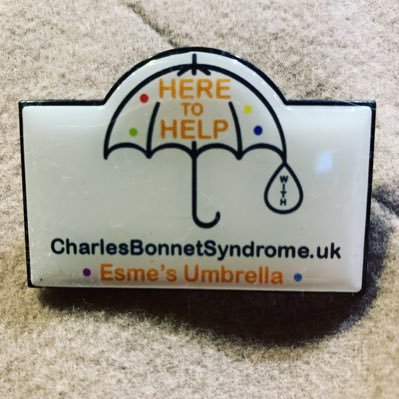 esmesumbrella's profile picture. Esme's Umbrella Charity raising awareness of Charles Bonnet Syndrome (CBS), which causes visual hallucinations after sight loss