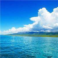 yongniu168's profile picture. 