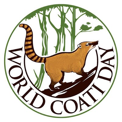 Dedicated to protecting Coatis from extinction! 𝗗𝗘𝗖𝗘𝗠𝗕𝗘𝗥 𝟯𝗥𝗗 is #worldcoatiday 🌏🦝. To see how YOU can be a part of the action check out⬇