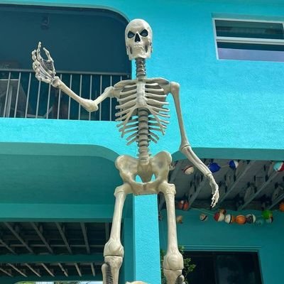 Skello, I am the 12ft tall Skelly living my best undead life in the Florida Keys with my best squad, and GR Mom and GR Dad