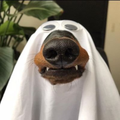 bertsadl's profile picture. 