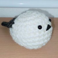Atla (@accelatlantic) 's Twitter Profile