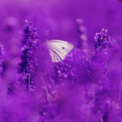 NamNao_SJP's profile picture. #EXO ❤️ #Mewsuppasit ☀️🌕⭐️🌏 🤍#วังจั๋วเฉิง🍊#หวังอี้ป๋อ 💚 I’m #Mewlions 💯 FOCUS ON MEW💙 ☀️ถ้าเป็นเขา เราเต็มที่เสมอ👹 📍📍เผื่อปลิว👉@S_MLions 😈