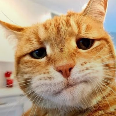 Dulin Ksmaさんのプロフィール画像