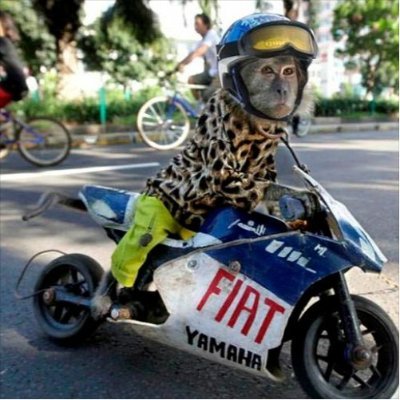 Ommestrup12's profile picture. :)