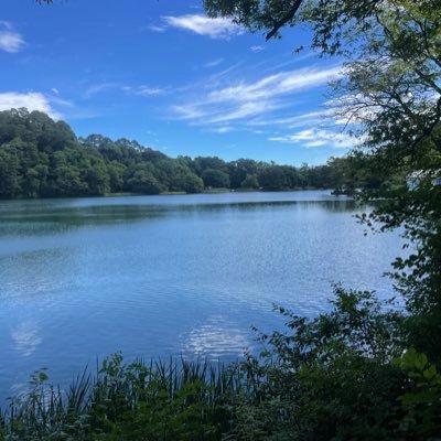 suppoko3's profile picture. 