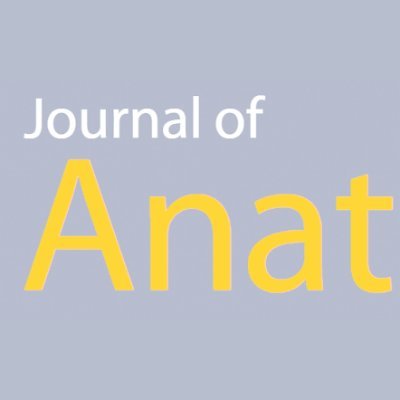 Official journal of the Anatomical Society (@anat_soc). We improve understanding of anatomy through analysis of structure, function, development and evolution