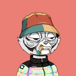 Kristia29565979's profile picture. I had a good amount of sol, key word is 'had'.