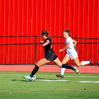 Shannon Dill (@_shannondill) 's Twitter Profile