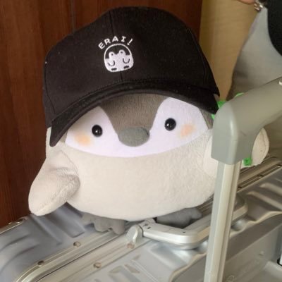 koupen_outdoor's profile picture. 僕たちのお出かけの思い出🐧 みんなのお気に入りの場所にも行きたいからメッセージで送ってくれたら嬉しいんだよ〜！