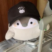 コウペンちゃんお出かけbot(@koupen_outdoor) 's Twitter Profile Photo