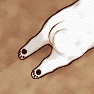 클레제이드 교수