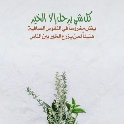 sarah19119001's profile picture. اللهم لا تأخذني إلا وأنت راض عني 🍃🍃
