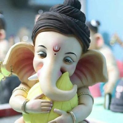 IshanSh00000529's profile picture. 