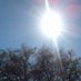 Belinda Trudy Nel (@trudybelinda) Twitter profile photo Belinda Trudy Nel (@trudybelinda) Twitter profile photo