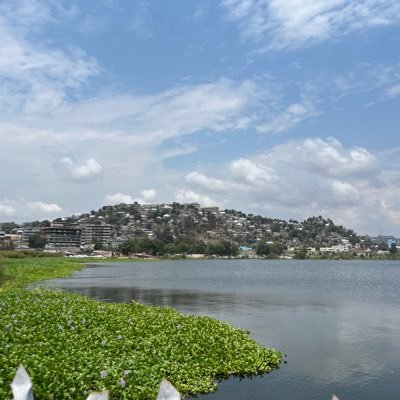 momomininjvff's profile picture. 还没想好